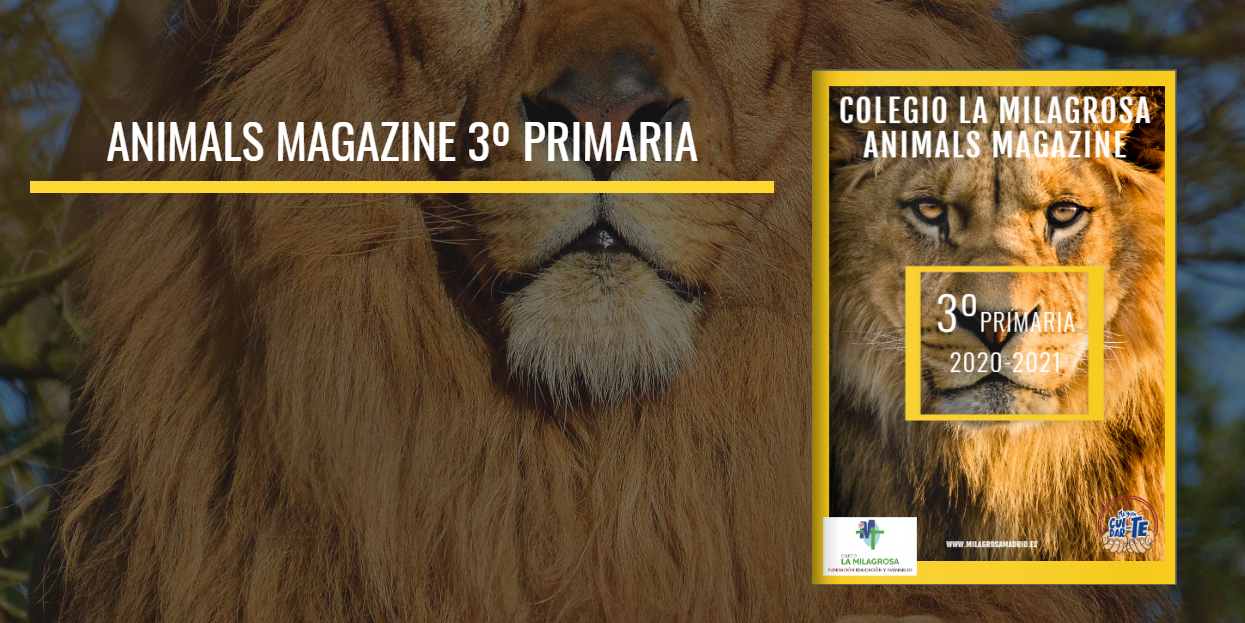 Revista Interactiva Proyecto animals
