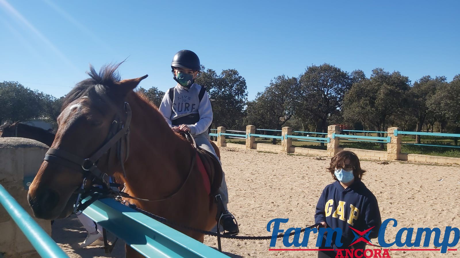 51857682405_c2dbbe81ca_h fARM cAMP